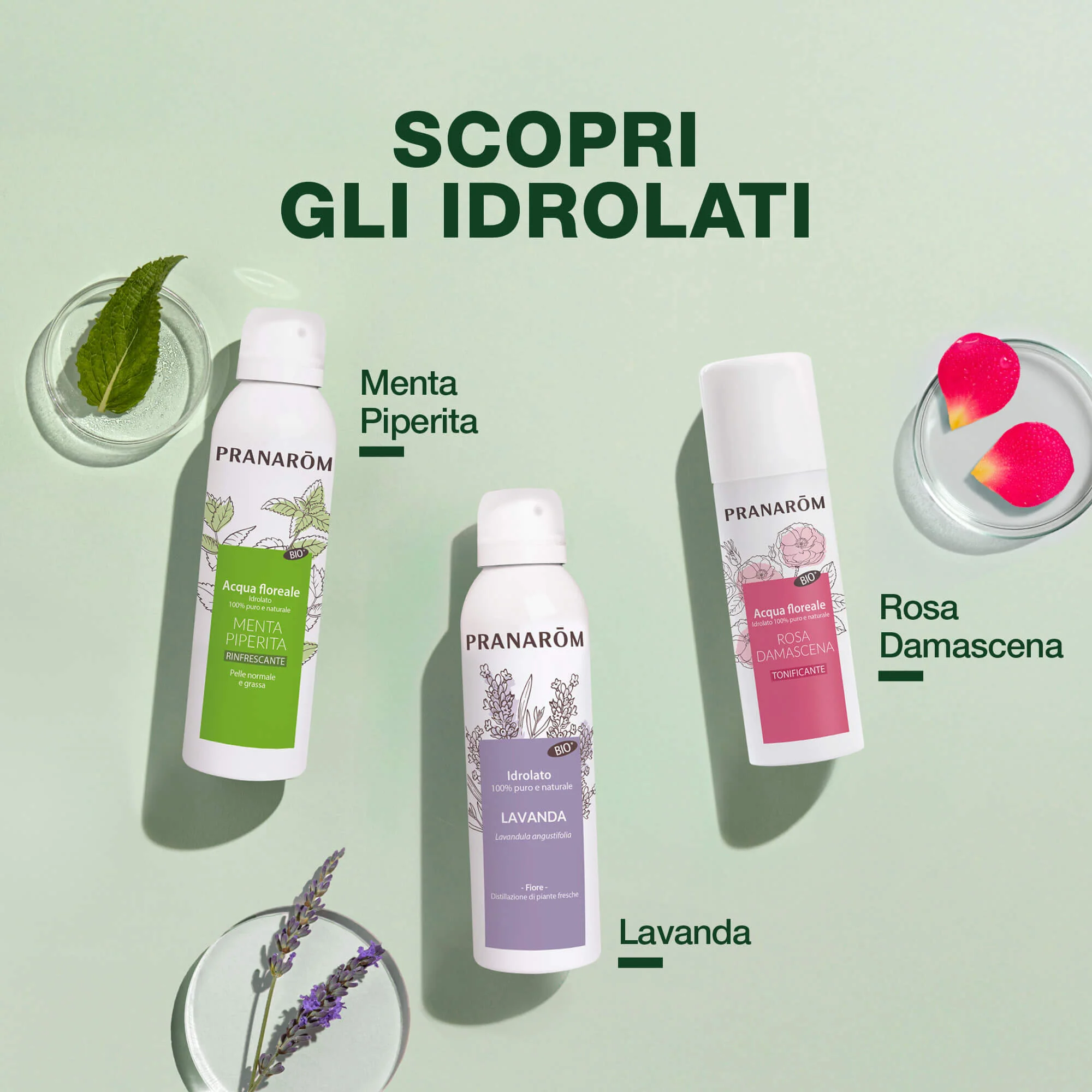 Immagine prodotto 6